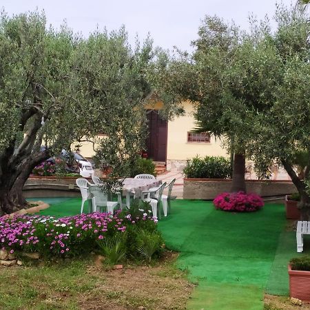Casanonnavittoria Bed & Breakfast Terrasini Bagian luar foto