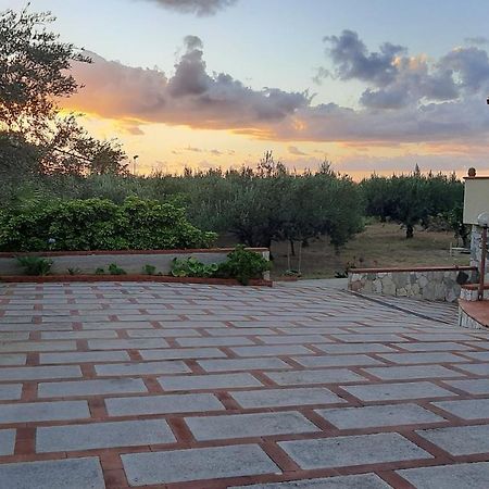 Casanonnavittoria Bed & Breakfast Terrasini Bagian luar foto